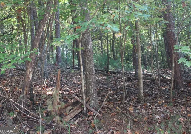 Photo 2 of Land for sale at Lot 546 Satsuma N Ct, Ellijay, GA 30540 | MLS# 10836580 | Listing updated on 2026-09-14