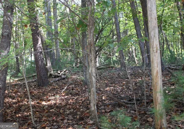 Photo 2 of Land for sale at Lot 546 Satsuma N Ct, Ellijay, GA 30540 | MLS# 10836580 | Listing updated on 2026-09-14