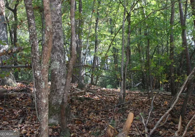 Photo 3 of Land for sale at Lot 546 Satsuma N Ct, Ellijay, GA 30540 | MLS# 10836580 | Listing updated on 2026-09-14