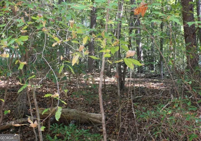 Photo 4 of Land for sale at Lot 546 Satsuma N Ct, Ellijay, GA 30540 | MLS# 10836580 | Listing updated on 2026-09-14