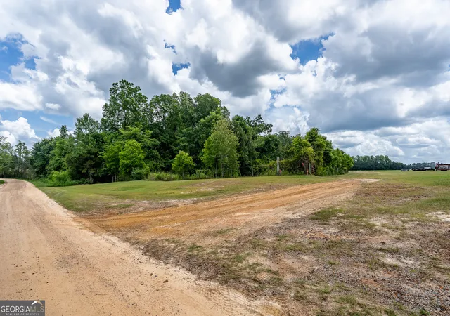 35th image of 0 Nesbitt Rd, Odum, GA 31555 | MLS# 10810482