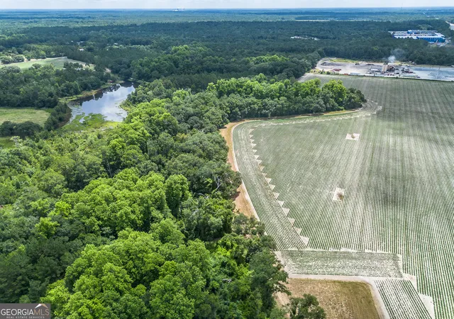 Photo 3 of Land for sale at 0 Nesbitt Rd, Odum, GA 31555 | MLS# 10810482 | Listing updated on 2026-08-05