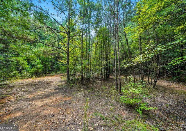2nd image of 0 Sleepy Hollow Dr, Powder Springs, GA 30127 | MLS# 10596360