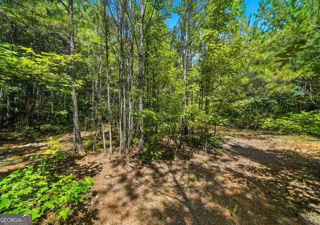 3rd image of 0 Sleepy Hollow Dr, Powder Springs, GA 30127 | MLS# 10596360