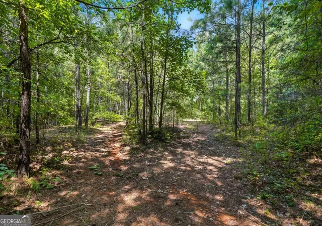4th image of 0 Sleepy Hollow Dr, Powder Springs, GA 30127 | MLS# 10596360