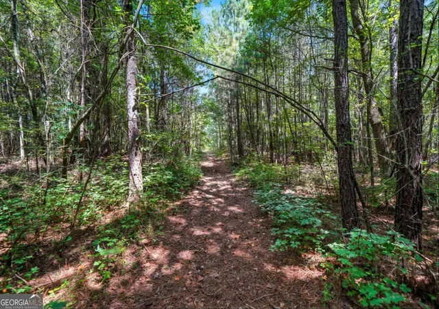 5th image of 0 Sleepy Hollow Dr, Powder Springs, GA 30127 | MLS# 10596360