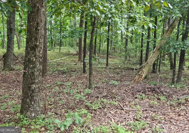 1st image of 1467 Hanna Dr, Ranger, GA 30734 | MLS# 10822938