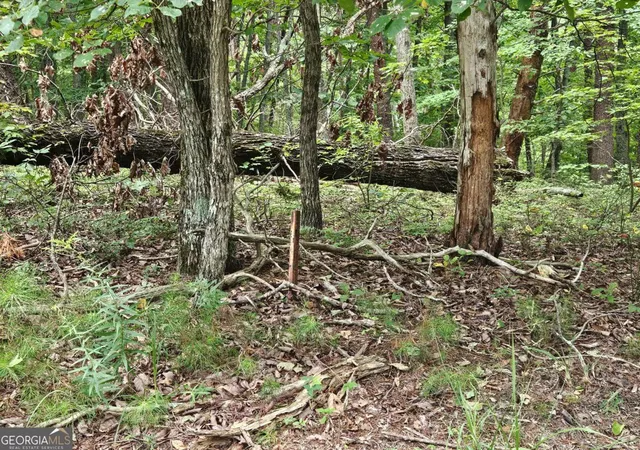 Photo 3 of Land for sale at 1467 Hanna Dr, Ranger, GA 30734 | MLS# 10822938 | Listing updated on 2026-08-24