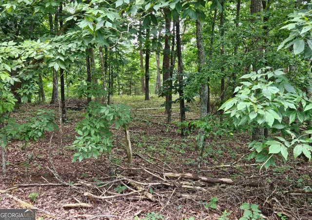 6th image of 1467 Hanna Dr, Ranger, GA 30734 | MLS# 10822938