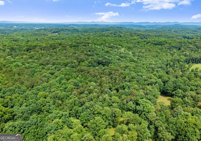 64th image of 6776 H Abercrombie Rd, Murrayville, GA 30564 | MLS# 10778720