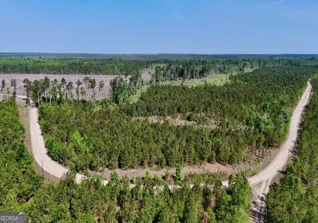 1st image of 0 Tillman Cementery Rd, Lumber City, GA 31549 | MLS# 10763007