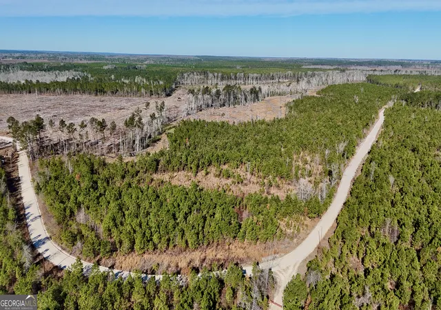 4th image of 0 Tillman Cementery Rd, Lumber City, GA 31549 | MLS# 10763007