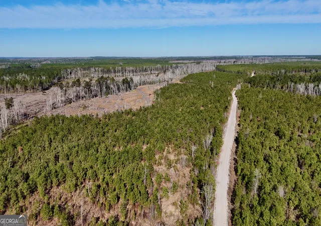 5th image of 0 Tillman Cementery Rd, Lumber City, GA 31549 | MLS# 10763007