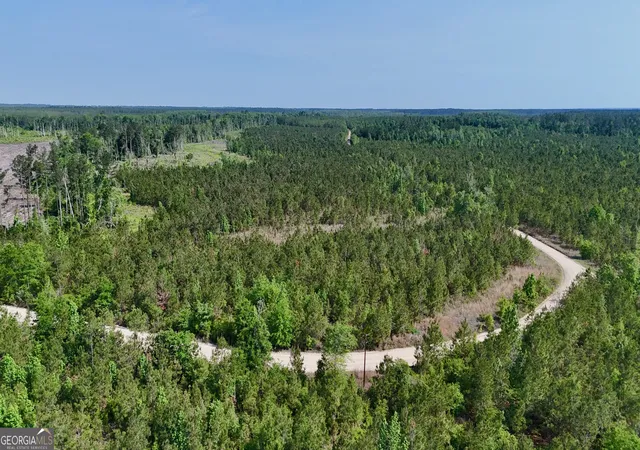 8th image of 0 Tillman Cementery Rd, Lumber City, GA 31549 | MLS# 10763007