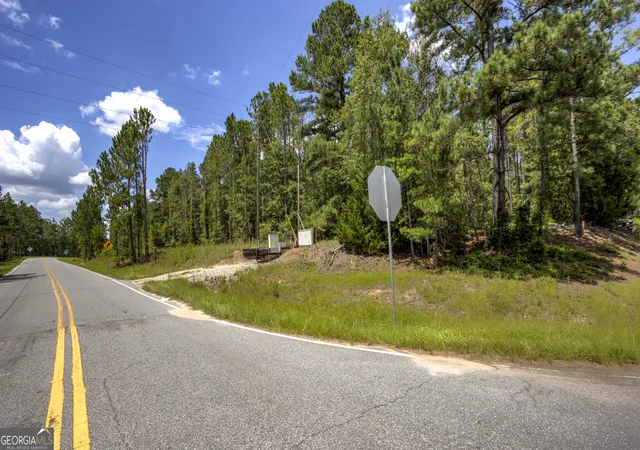 15th image of 0 Stafford Rd, Claxton, GA 30417 | MLS# 10817989