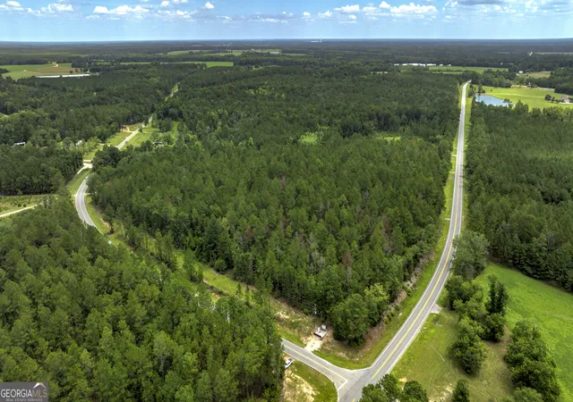 1st image of 0 Stafford Rd, Claxton, GA 30417 | MLS# 10817989