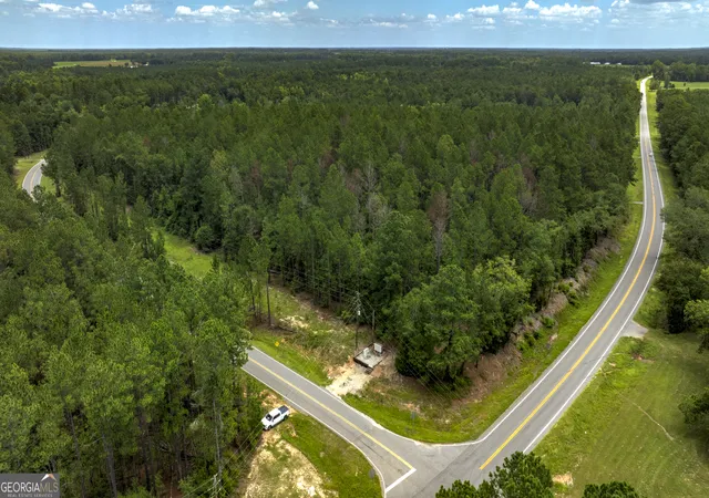 2nd image of 0 Stafford Rd, Claxton, GA 30417 | MLS# 10817989