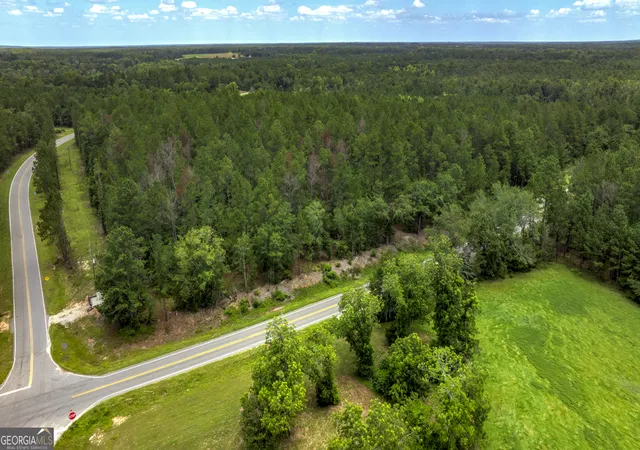 3rd image of 0 Stafford Rd, Claxton, GA 30417 | MLS# 10817989