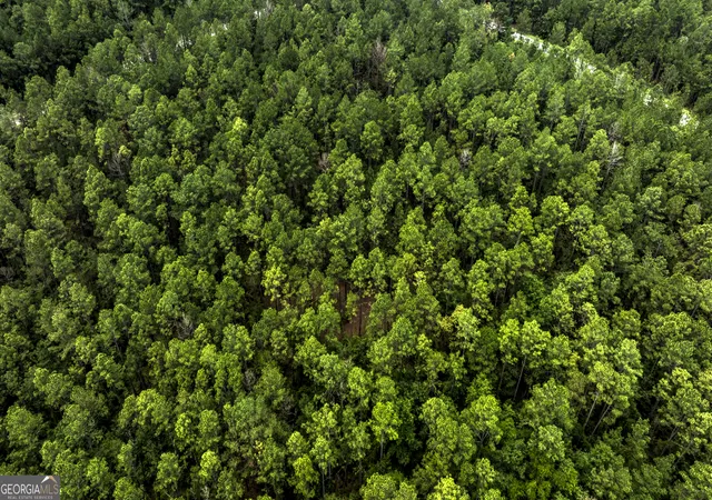 4th image of 0 Stafford Rd, Claxton, GA 30417 | MLS# 10817989