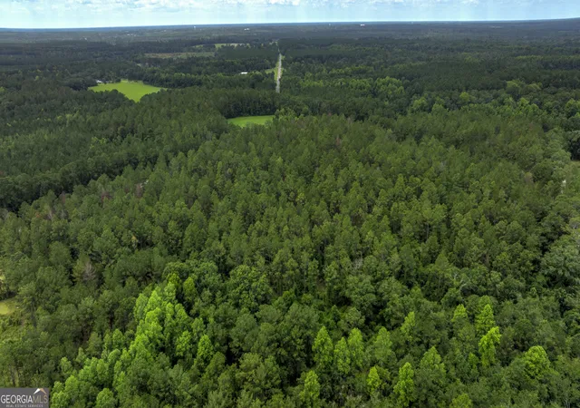 5th image of 0 Stafford Rd, Claxton, GA 30417 | MLS# 10817989