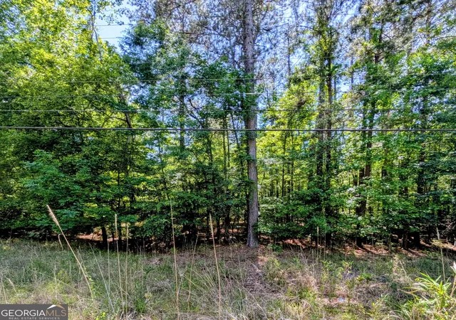Homes for sale in Sparta, GA | Lot 73 And 238 Island Creek Dr, Sparta, GA 31087 | MLS# 10799407