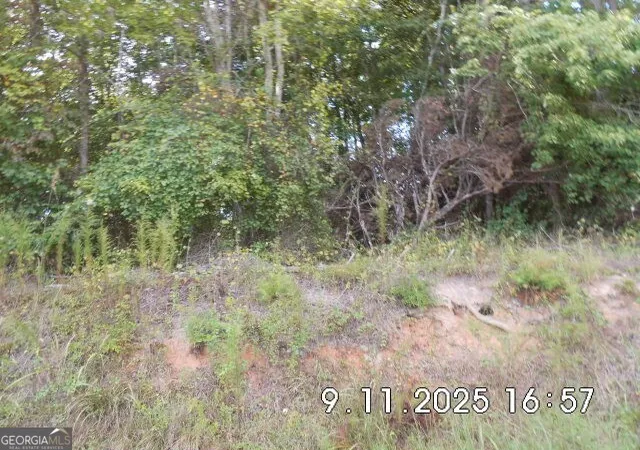 4th image of 85 +/- Smith Loop, Demorest, GA 30535 | MLS# 10603104