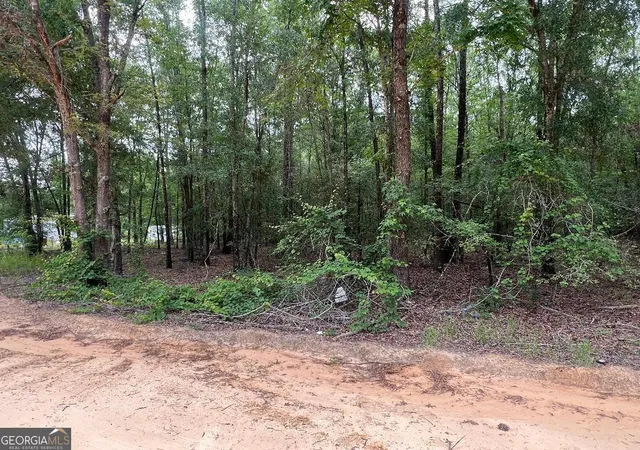 Homes for sale in Statesboro, GA | Lot 26 Lane Rd, Statesboro, GA 30461 | MLS# 10697916