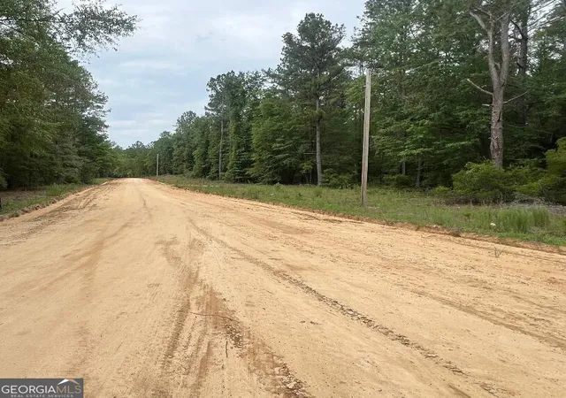 Homes for sale in Statesboro, GA | Lot 26 Lane Rd, Statesboro, GA 30461 | MLS# 10697916