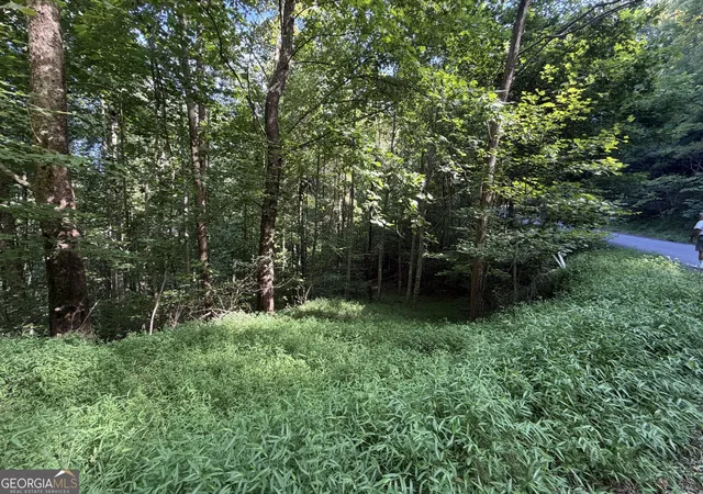 Photo 1 of Land for sale at Lot 4 Ml Ridge Rd, Hiawassee, GA 30546 | MLS# 10819553 | Listing updated on 2026-08-31