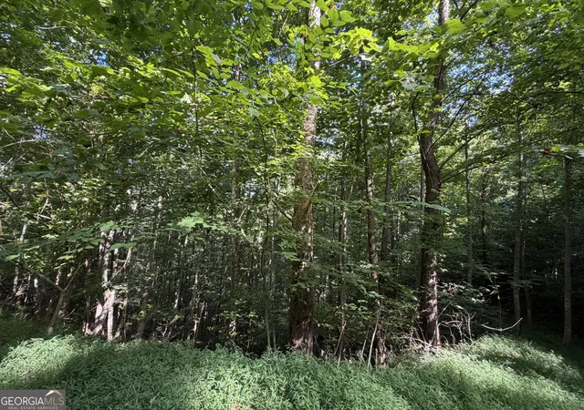 Photo 3 of Land for sale at Lot 4 Ml Ridge Rd, Hiawassee, GA 30546 | MLS# 10819553 | Listing updated on 2026-08-31