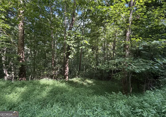 Photo 3 of Land for sale at Lot 4 Ml Ridge Rd, Hiawassee, GA 30546 | MLS# 10819553 | Listing updated on 2026-08-31