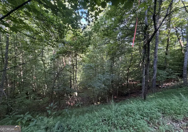 Photo 4 of Land for sale at Lot 4 Ml Ridge Rd, Hiawassee, GA 30546 | MLS# 10819553 | Listing updated on 2026-08-31
