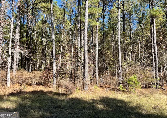 2nd image of 00 Mariners Wy, Lincolnton, GA 30817 | MLS# 10812613