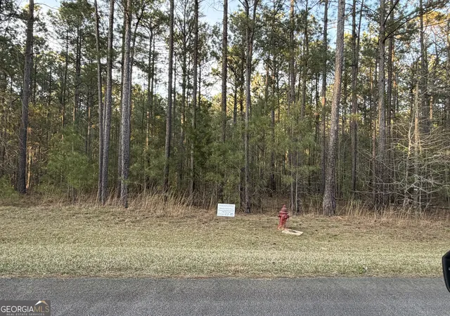 3rd image of 00 Mariners Wy, Lincolnton, GA 30817 | MLS# 10812613