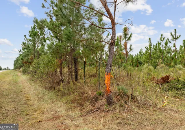 Homes for sale in Soperton, GA | 0 Hwy 297 #TRACTS 1, 2, 3, 4 & 5, Soperton, GA 30457 | MLS# 10793837