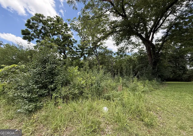 Homes for sale in Barnesville, GA | 0 Mill St, Barnesville, GA 30204 | MLS# 10791247