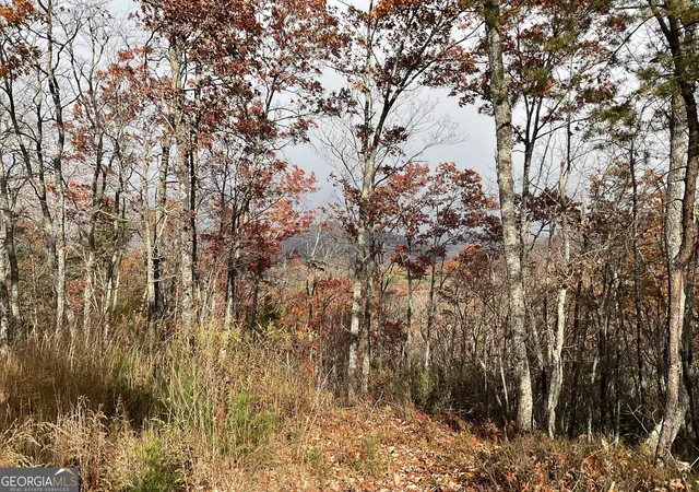 10th image of 0 Lynn Dr, Clayton, GA 30525 | MLS# 10642474