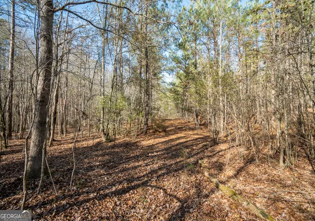 Photo 3 of Land for sale at 0 Lavista Rd, Jefferson, GA 30549 | MLS# 10380239 | Listing updated on 2026-09-26