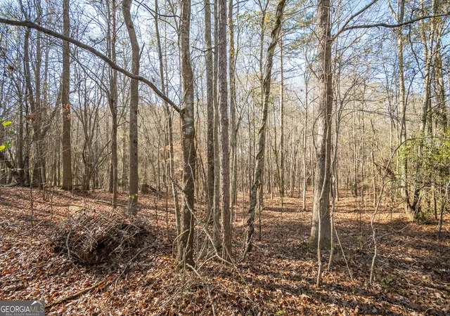 Photo 4 of Land for sale at 0 Lavista Rd, Jefferson, GA 30549 | MLS# 10380239 | Listing updated on 2026-09-26