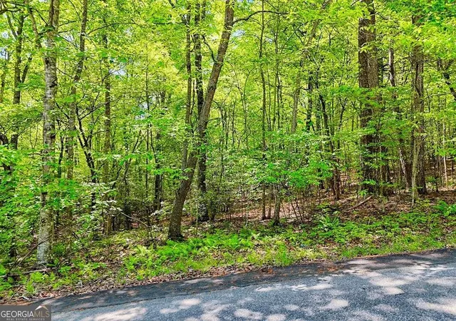 Photo 3 of Land for sale at Lots 3&5 Cozy Cvs Rd, Blairsville, GA 30512 | MLS# 10770862 | Listing updated on 2026-06-06