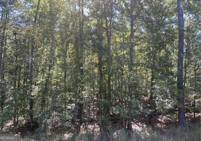 2nd image of Lot 162 Jamesway Dr, Sparta, GA 31087 | MLS# 10825469