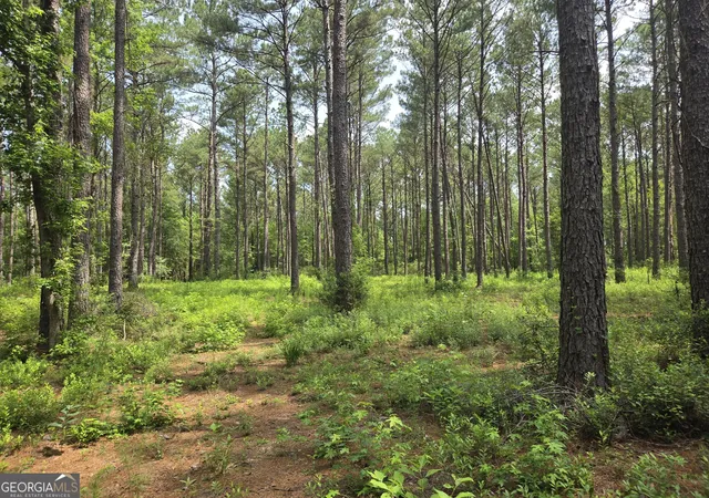 1st image of 0 Colby Dr, Dublin, GA 31021 | MLS# 10794258