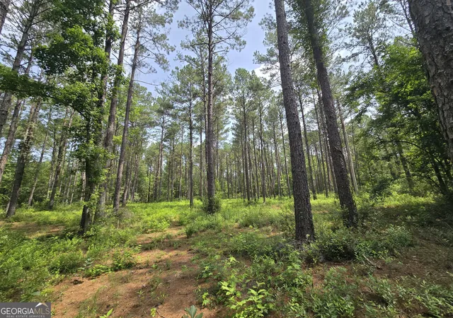 2nd image of 0 Colby Dr, Dublin, GA 31021 | MLS# 10794258