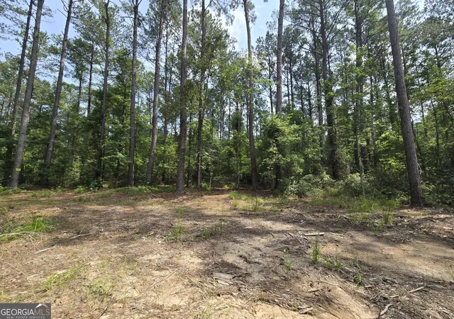 4th image of 0 Colby Dr, Dublin, GA 31021 | MLS# 10794258