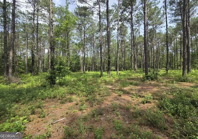 5th image of 0 Colby Dr, Dublin, GA 31021 | MLS# 10794258