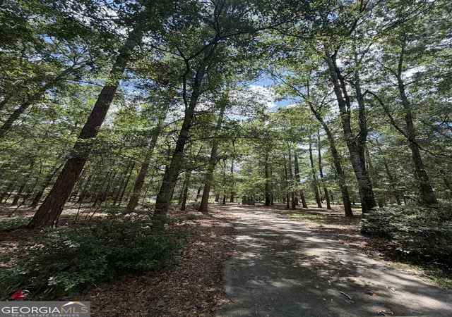 2nd image of 233 Veal Ln, Dublin, GA 31021 | MLS# 10806103