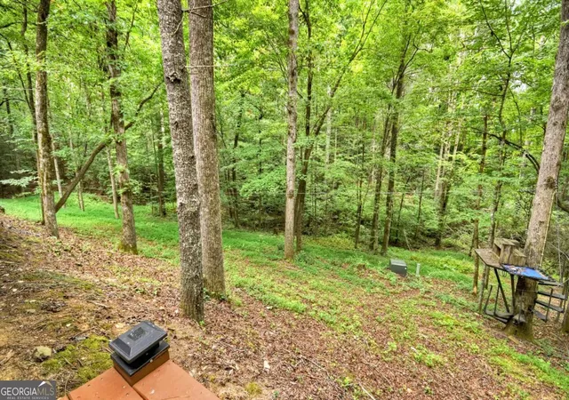 Homes for sale in Cherry Log, GA | 2587 Goose Island Rd, Cherry Log, GA 30522 | MLS# 10722214