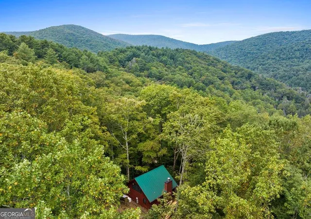 2nd image of 390 Butler Creek Rd, Cherry Log, GA 30522 | MLS# 10804279