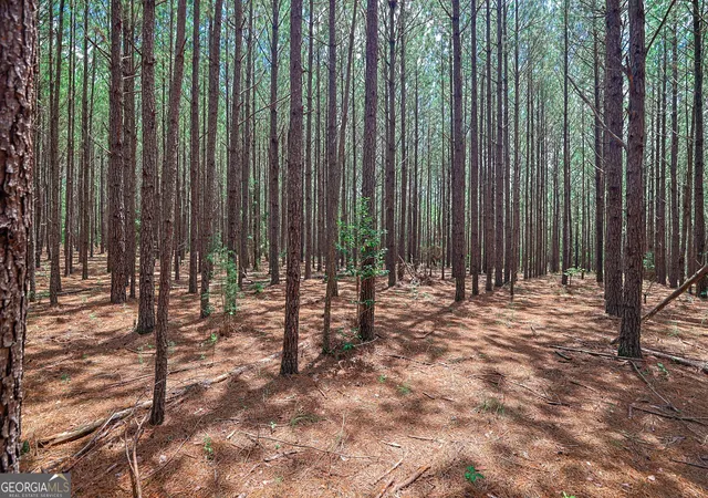 1st image of Tbd Wriley Rd, Mcintyre, GA 31054 | MLS# 10795945