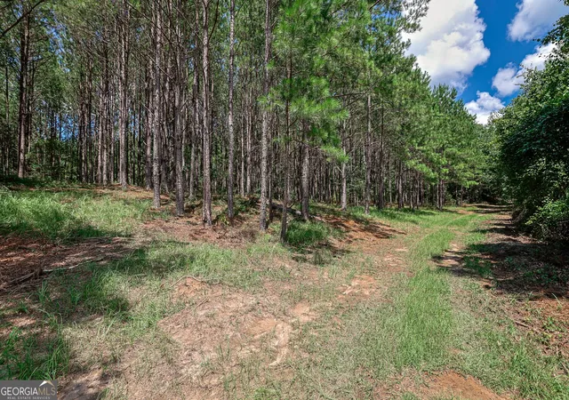 2nd image of Tbd Wriley Rd, Mcintyre, GA 31054 | MLS# 10795945